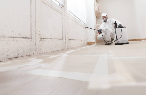 24/7 Emergency Bathroom Mold Removal experts in Linden, VA