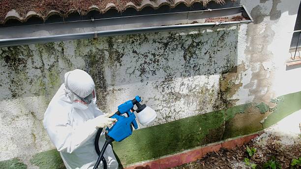 Top rated local Bathroom Mold Removal specialists in Linden, VA